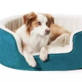 The Advantages of a TopDogBed Memory Foam Bed with Magnet Wave Therapy