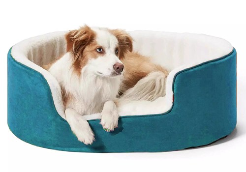 The Advantages of a TopDogBed Memory Foam Bed with Magnet Wave Therapy
